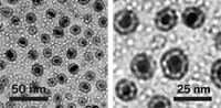 Serving the chemical, life science, and laboratory worlds