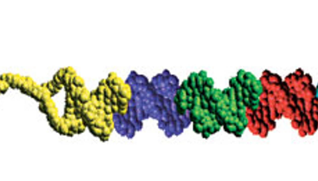 DNA Bar Codes For Libraries