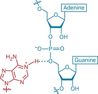 Serving the chemical, life science, and laboratory worlds