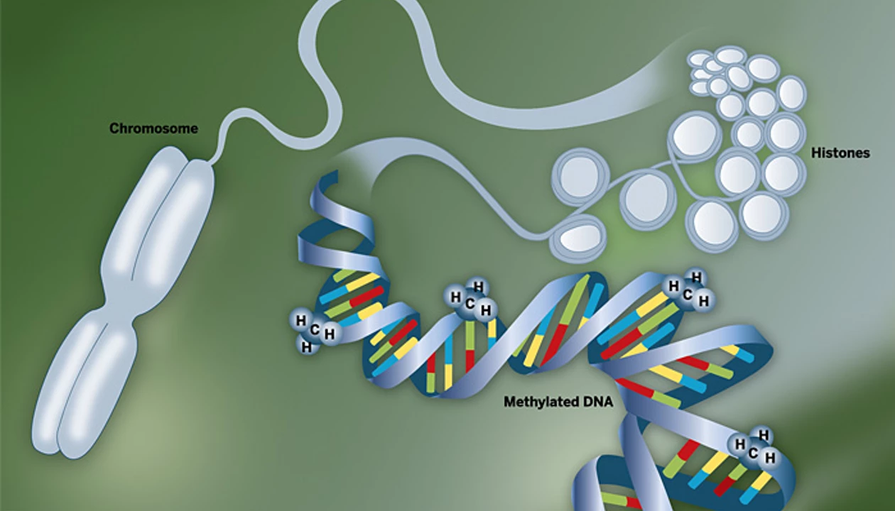 Mapping The Epigenome