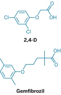 Serving the chemical, life science, and laboratory worlds