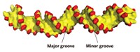 Serving the chemical, life science, and laboratory worlds