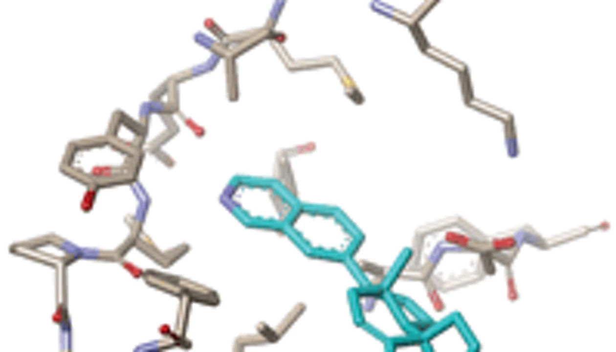 Getting A Clue About Cortistatin's Activity