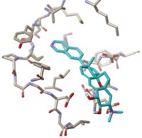 Serving the chemical, life science, and laboratory worlds