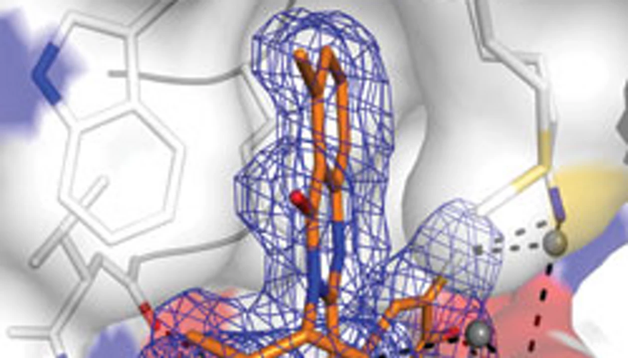 Flexible Drug Target Reveals Its Secrets