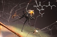 Serving the chemical, life science, and laboratory worlds