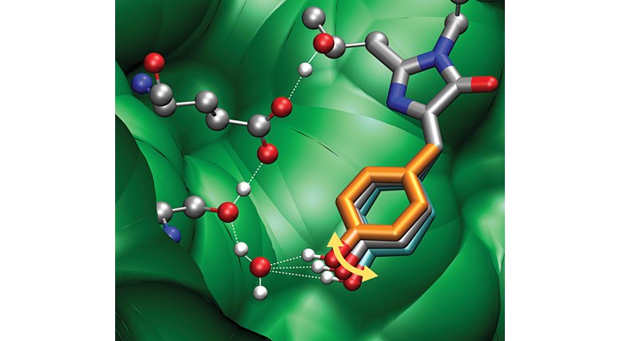 Ultrafast-Structural-Dynamics-Biomolecules