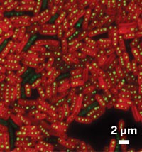 Serving the chemical, life science, and laboratory worlds