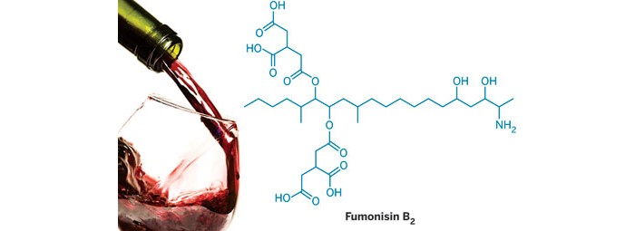 https://s7d1.scene7.com/is/image/CENODS/8812sci1_fumonisin?$responsive$&wid=700&qlt=90,0&resMode=sharp2