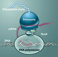 Serving the chemical, life science, and laboratory worlds