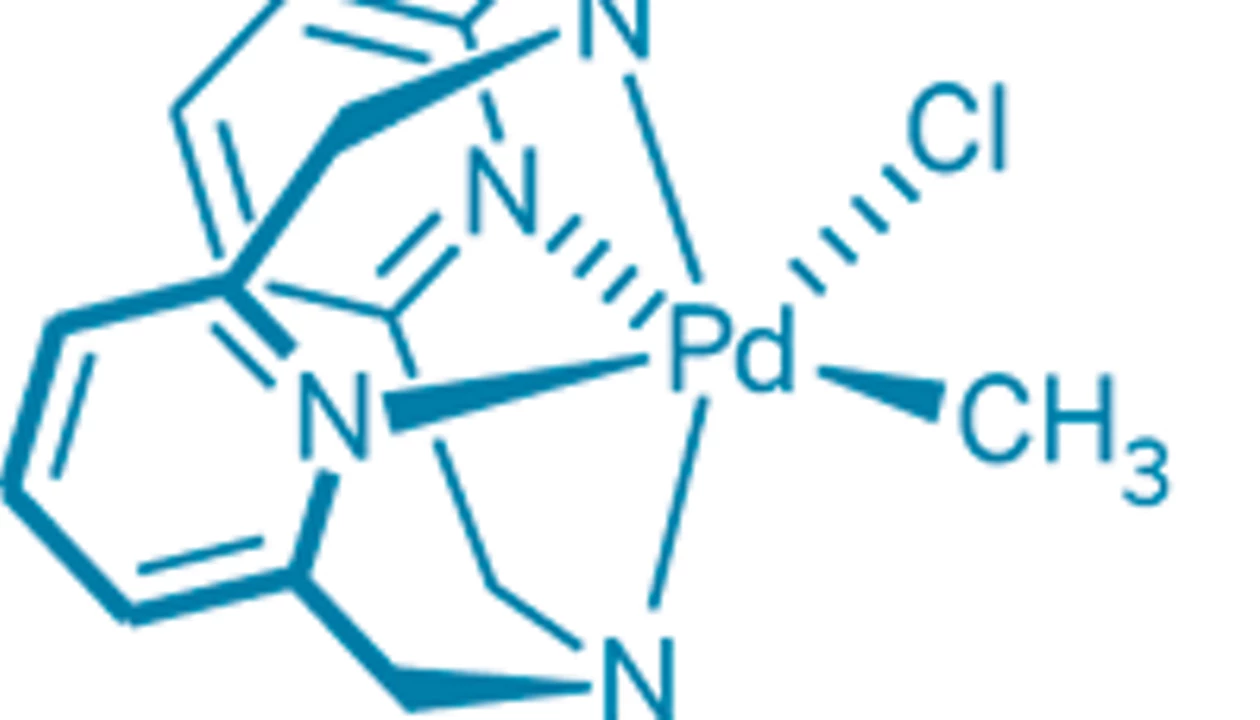 New Start For Pd(III) Chemistry