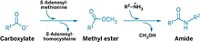 Serving the chemical, life science, and laboratory worlds