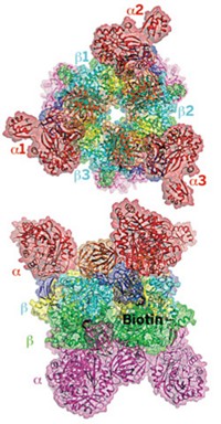 Serving the chemical, life science, and laboratory worlds