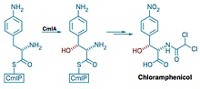 Serving the chemical, life science, and laboratory worlds