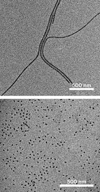 Serving the chemical, life science, and laboratory worlds
