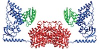 Serving the chemical, life science, and laboratory worlds