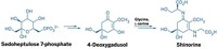 Serving the chemical, life science, and laboratory worlds
