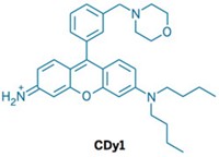 Serving the chemical, life science, and laboratory worlds