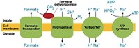 Serving the chemical, life science, and laboratory worlds