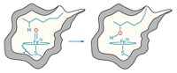 Serving the chemical, life science, and laboratory worlds