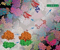 Serving the chemical, life science, and laboratory worlds