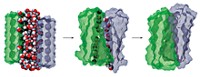Serving the chemical, life science, and laboratory worlds