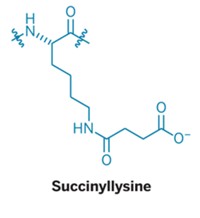 Serving the chemical, life science, and laboratory worlds