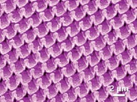 Serving the chemical, life science, and laboratory worlds