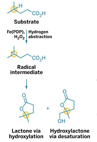 Serving the chemical, life science, and laboratory worlds