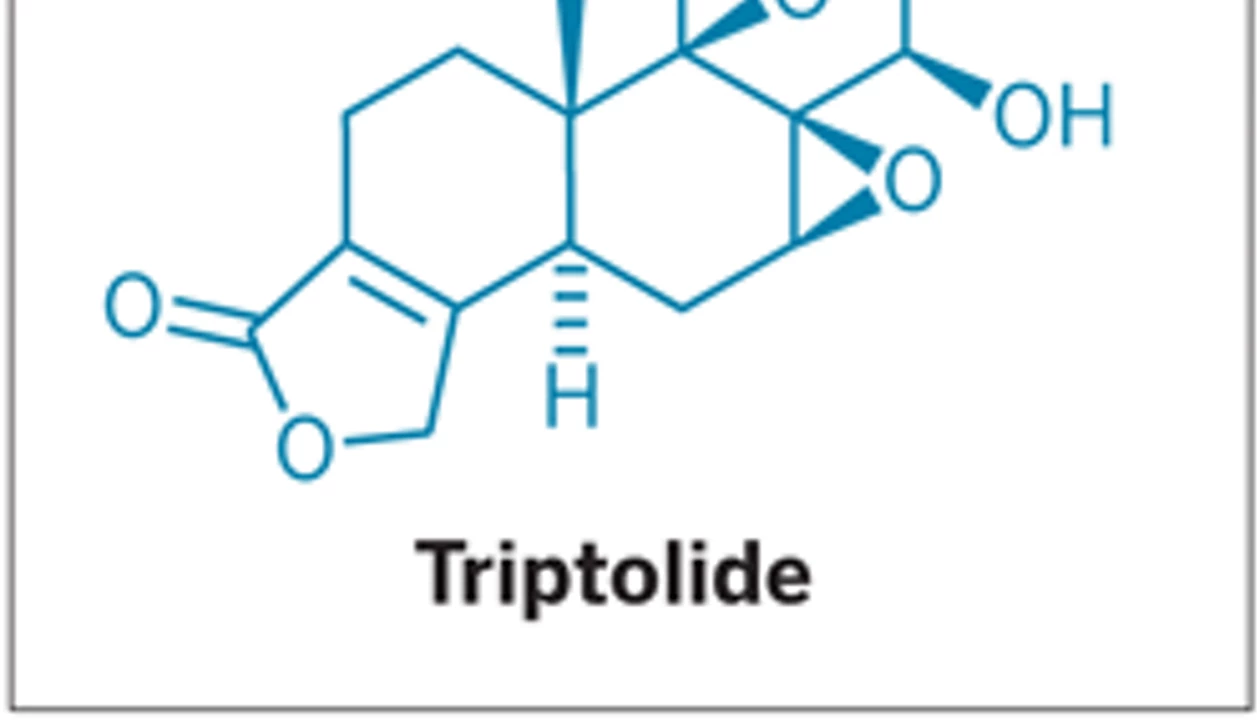 Target Of Traditional Chinese Medicine Triptolide Found