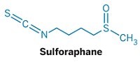 Serving the chemical, life science, and laboratory worlds