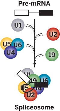 Serving the chemical, life science, and laboratory worlds