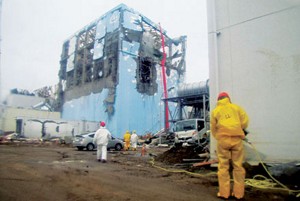Agricultural Implications of the Fukushima Nuclear Accident