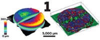 Serving the chemical, life science, and laboratory worlds