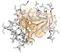 Serving the chemical, life science, and laboratory worlds