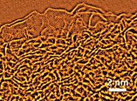 Serving the chemical, life science, and laboratory worlds