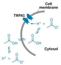 Serving the chemical, life science, and laboratory worlds