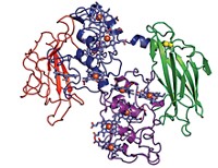 Serving the chemical, life science, and laboratory worlds