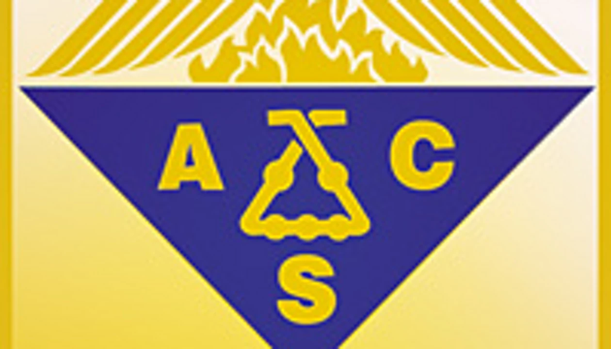2010 ACS Fellows