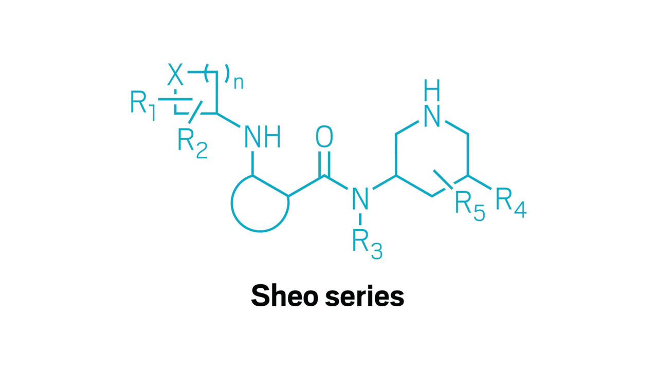 General structure for a series of molecules designed to inhibit renin.