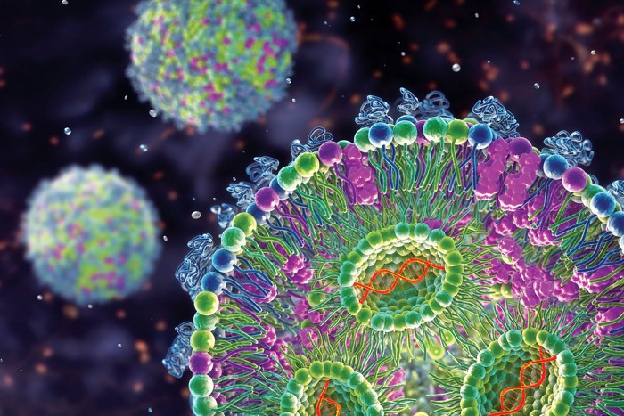 Modified polymer could help people with PEG allergies