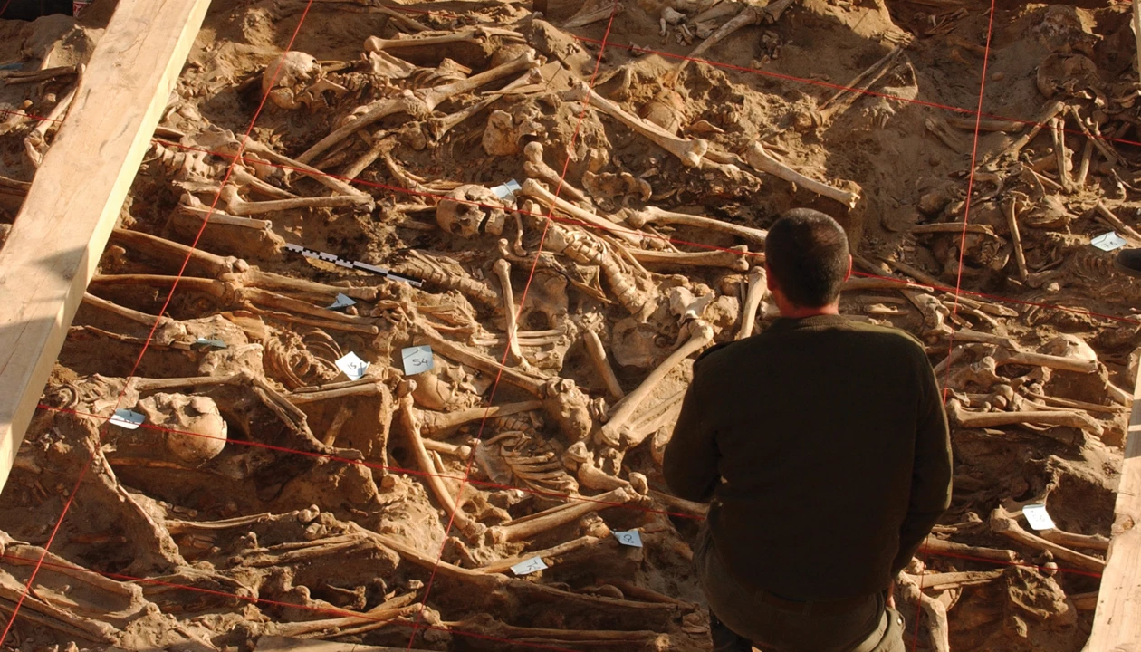 Ancient DNA reveals pathogens that struck Napoleon’s army