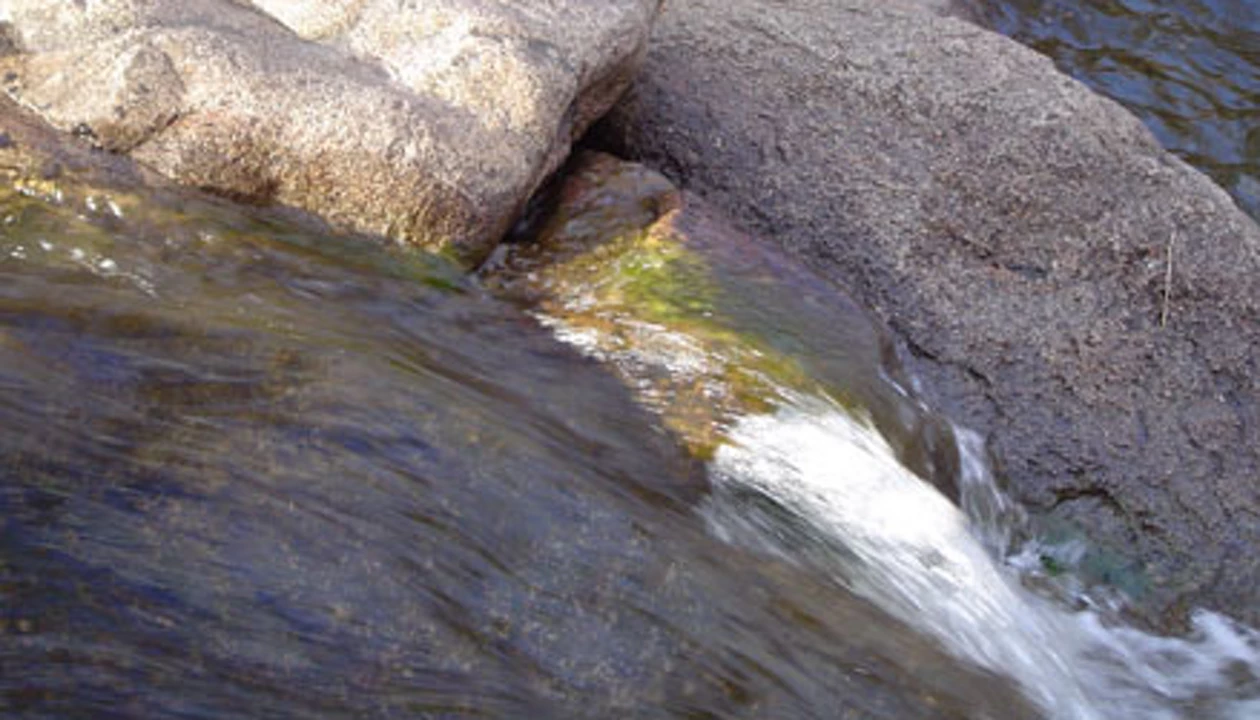 Rock Slime Harbors Endocrine Disrupters