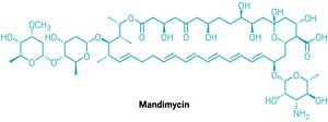 Structural formula of mandimycin.