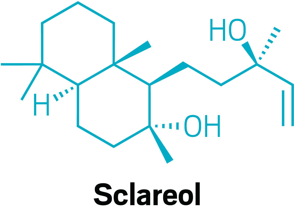 A structure of sclareol.