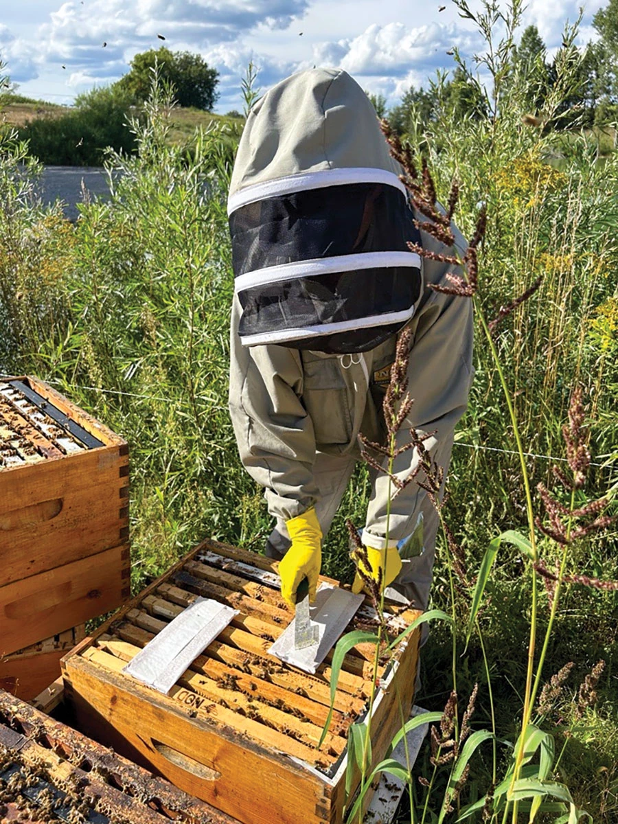 A person in a beekeeping suit adheres a strip of material to a wooden hive box.