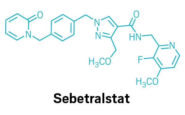 The structure of sebetralstat.