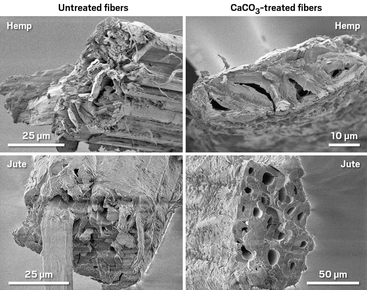 Four grayscale micrographs show untreated hemp fibers (top left), hemp fibers treated with calcium carbonate (top right), untreated jute fibers (bottom left), and jute fibers treated with calcium carbonate (bottom right).