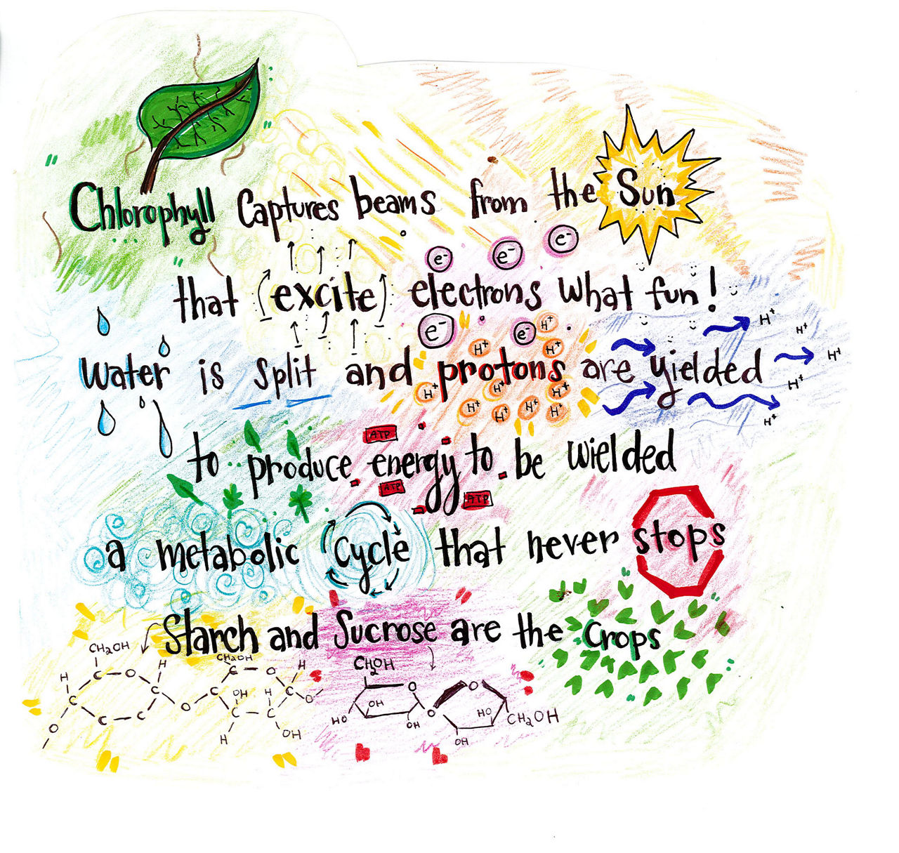 A poem explaining the chemistry of photosynthesis is illustrated with drawings including leaves, the sun, electrons, protons, a stop sign, and chemical structures.