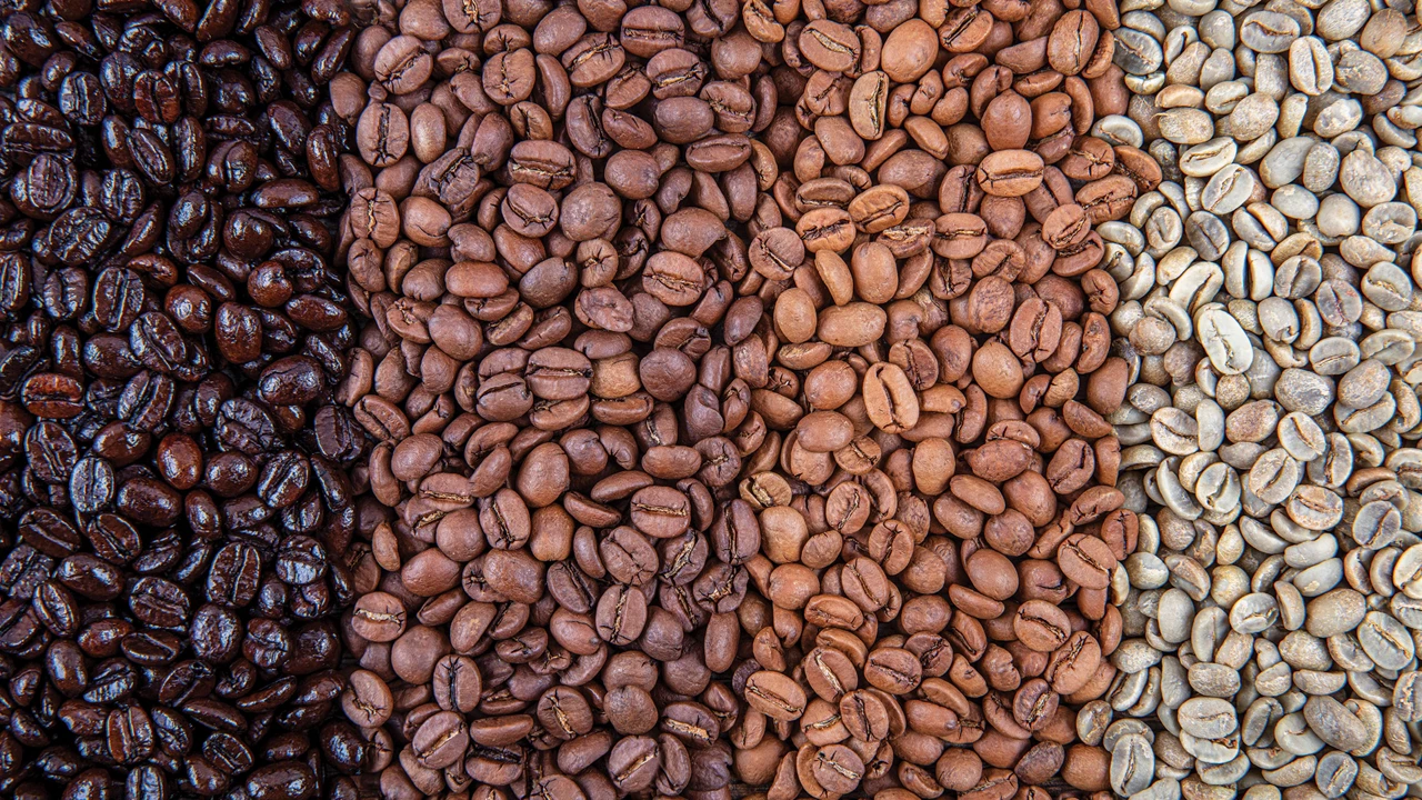 Four different roasts of coffee beans are placed in columns next to each other. The darkest is on the left, and the roasts get progressively lighter moving right.